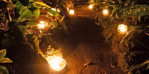 Nachts im Botanischen Garten