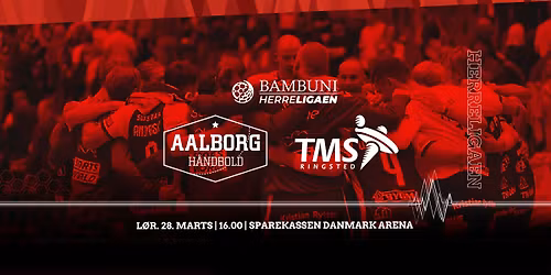 Aalborg H\u00e5ndbold - TMS Ringsted