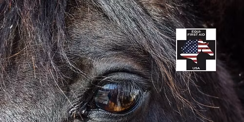 Equine Health, Trailering and Disaster Prep Courses