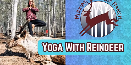 Fly and Flow - Yoga with Reindeer