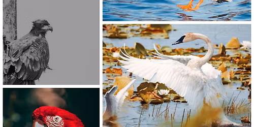 Ashley\u2019s Gallery with the St. Paul Art Crawl 2026