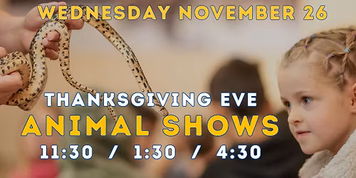 Thanksgiving Eve Animal Shows!