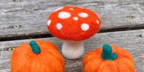 Needle Felting Beginner Class