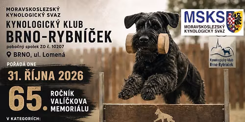 65. ro\u010dn\u00edk Val\u00ed\u010dkova memori\u00e1lu...