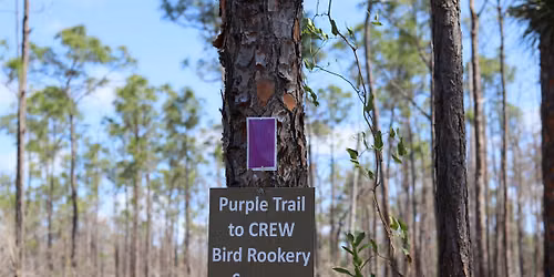 Hike the Purple Loop!