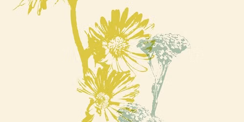 Wild Plant Party 