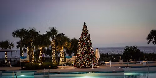 Christmas Pool Deck Tree Lighting