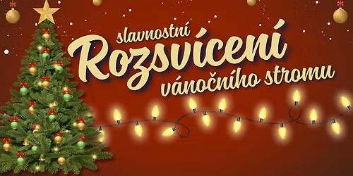 \ud83c\udf1f\ud83c\udf84 Rozsv\u00edcen\u00ed v\u00e1no\u010dn\u00edho stromu \ud83c\udf84\ud83c\udf1f
