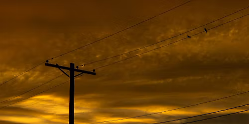 Composition in Photography