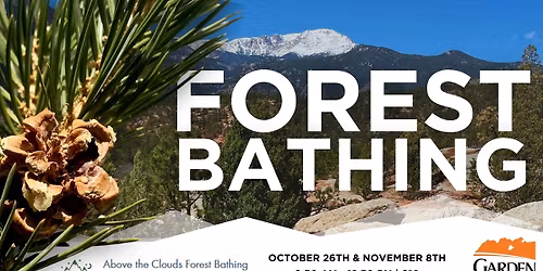 Forest Bathing