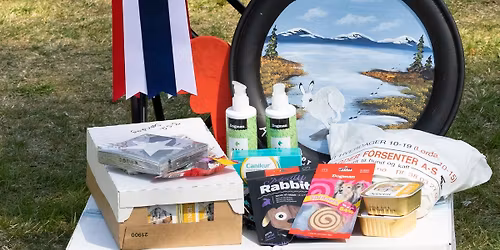 Dobbelutstilling p\u00e5 Hamresanden 9.-10.Mai