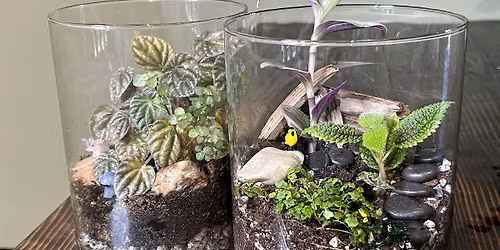 Terrarium Building Workshop at Moss Houseplants March 22nd