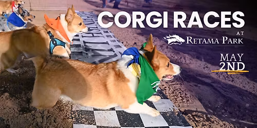 Corgi Races at Retama Park