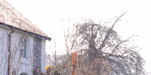 Willow weaving plant support workshop