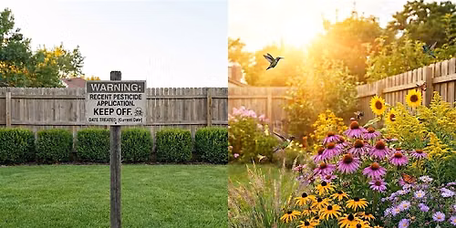Pests Out, Pollinators In: Pesticide-Free Solutions for Your Yard