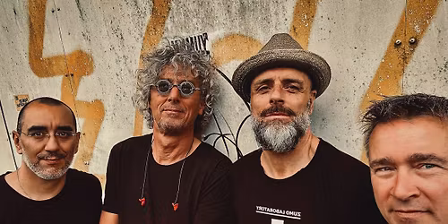 Blues op zondag met Fat Harry & The Fuzzy Licks