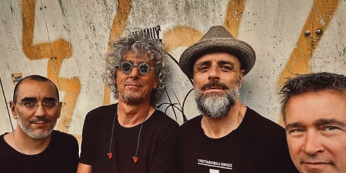Blues op zondag met Fat Harry & The Fuzzy Licks