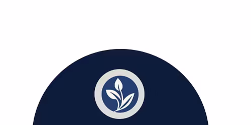 Sylvotherapy With Horses A 3 Part Series