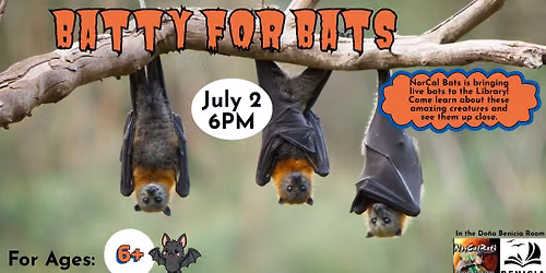 Batty for Bats