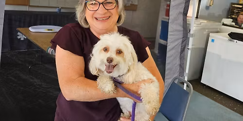 Low Cost Veterinary Wellness Clinic