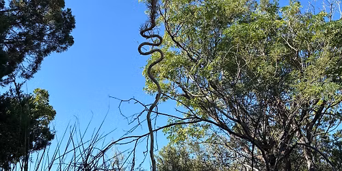 Austin Naturalists December Happy Hour