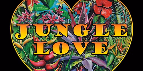 Jungle Love - A Retro Soul, Funk & Disco tribute