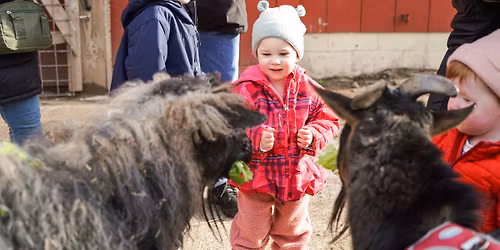 Breakfast with the Animals - Barnyard Edition