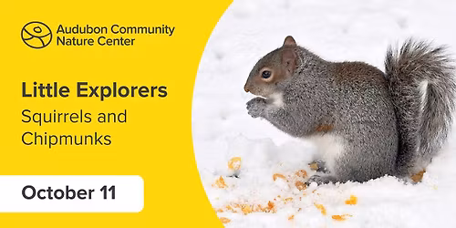 Little Explorers: Squirrels and Chipmunks