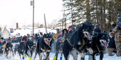 John Beargrease Sled Dog Marathon