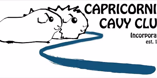 Guinea Pig Show in Rockhampton