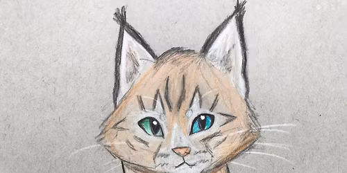 Wild Animal Art & Nature Camp