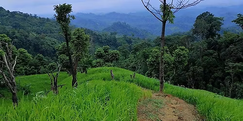 \u09b0\u0982\u09a7\u09a8\u09c1\u09b0 \u09b8\u09be\u09a5\u09c7 \u0998\u09c1\u09b0\u09c7 \u0986\u09b8\u09c1\u09a8 \u0995\u09cd\u09b0\u09bf\u09b8\u09a4\u0982 \u0993 \u09b0\u09c1\u0982\u09b0\u09be\u0982 \u09b8\u09be\u09ae\u09bf\u099f \u098f \u09ea \u09b0\u09be\u09a4 \u09e9 \u09a6\u09bf\u09a8 \u09ae\u09be\u098f \u09ec\u09eb\u09e6\u09e6 \u099f\u09be\u0995\u09be\u09df\u0964(\u0995\u09cb\u09a8\u09cb \u09b9\u09bf\u09a1\u09c7\u09a8 \u099a\u09be\u09b0\u09cd\u099c \u09a8\u09c7\u0987\u0964)