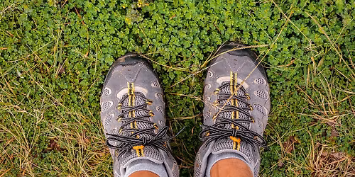 Nature\u2019s Healing Power: A Grief Support Group Series