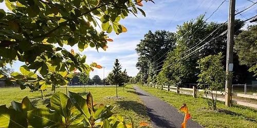 Healthy Soil, Healthy Trees