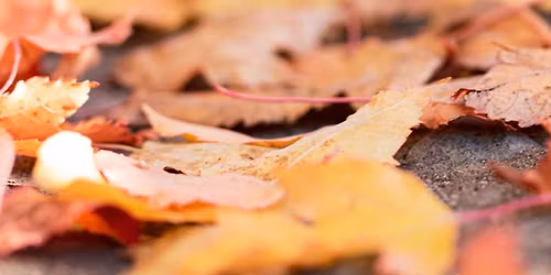 RRRC Turkey Trot 10k & 5k, presented by Wegmans