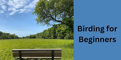 Birding for Beginners