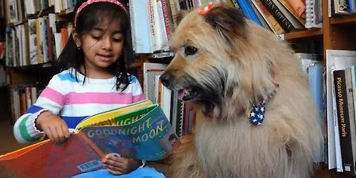 Read to Dogs at the Library 