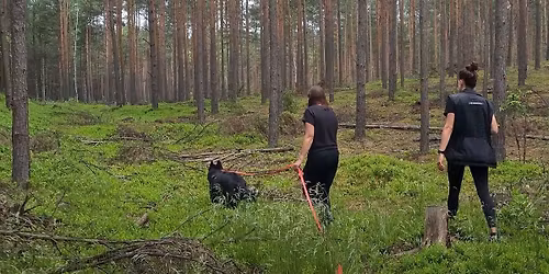 WARSZTATY PRACY NOSEM z Wonder Zone