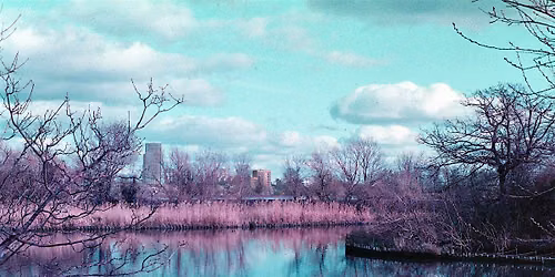 The Film Experience: Seeing in Purple - A 35mm Film Photography Workshop