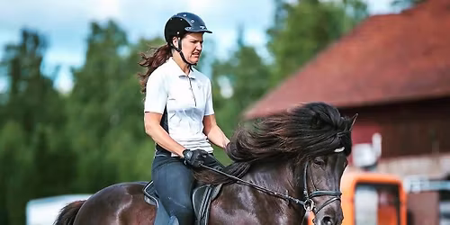 Lektioner p\u00e5 Halveg\u00e5rden f\u00f6r \u00c5sa Nevander Holm\u00e9n