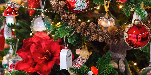 \u00c5pning av Juleland Ask\u00f8y 2025! \ud83c\udf1f