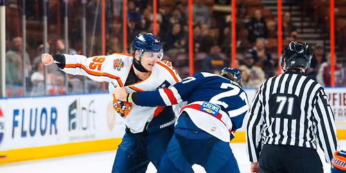 Greenville Swamp Rabbits vs. South Carolina Stingrays