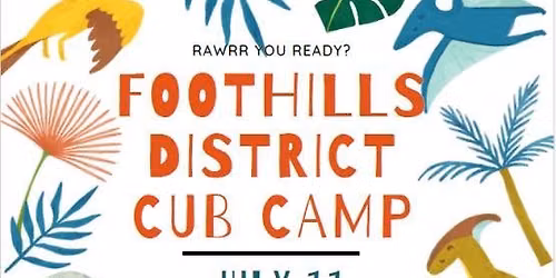 Foothills District Cub Camp