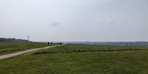 Community Litter pick