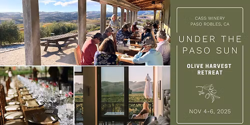 UNDER THE PASO SUN | Olive Harvest Retreat