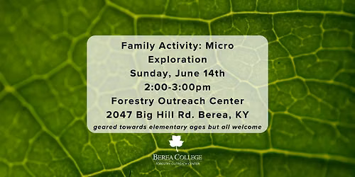 Family Activity: Micro Exploration