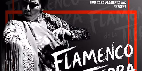 Flamenco de la Tierra