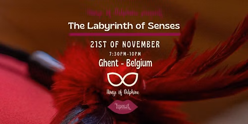 The Labyrinth Of Senses: A HoD Immersive Experience