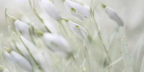 \u015al\u0105skie Piwko Gamedevowe - Po\u017cegnanie Zimy \ud83c\udf7b \u2744\ufe0f