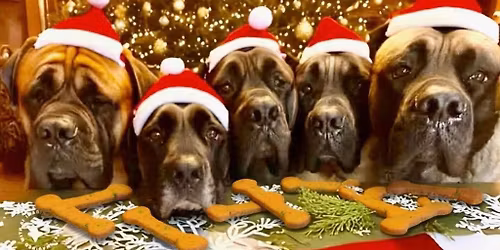 2nd. Annual Lucky Paws Basket Raffle & Vendor Show \ud83c\udf40\ud83d\udc3e\ud83c\udf40